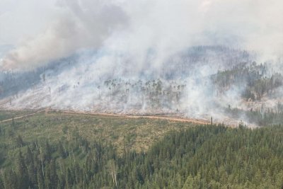 Канада иска помощ за справяне с горските пожари