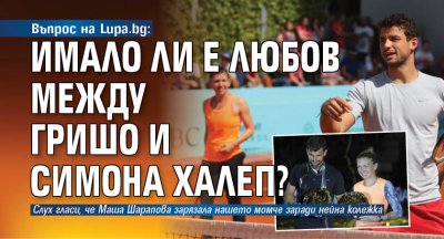 Въпрос на Lupa.bg: Имало ли е любов между Гришо и Симона Халеп?