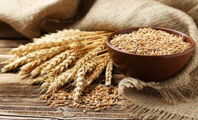 Фючърсите на пшеницата търгувани на Чикагската фондова борса се повишиха