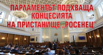 Парламентът подхваща концесията на пристанище "Росенец"