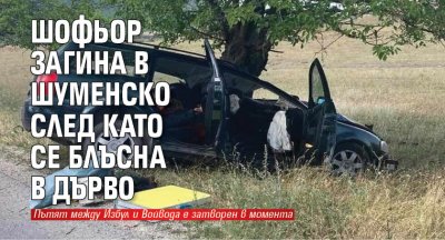 Шофьор загина в Шуменско след като се блъсна в дърво