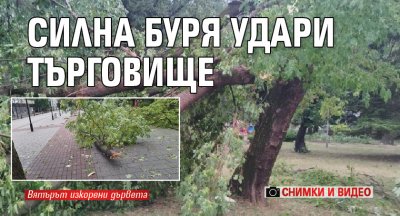 Силна буря удари Търговище (СНИМКИ И ВИДЕО)