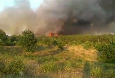 Отново се разгоря пожарът който избухна снощи край Пазарджик на
