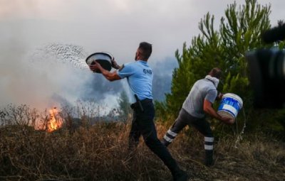 ОГНЕН АД: Горските пожари обхванаха цяла Европа