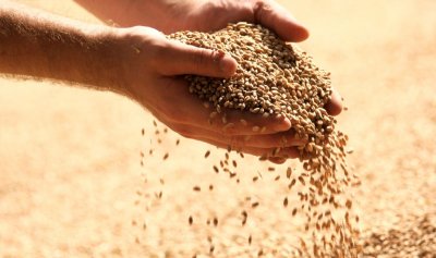 Украйна изнася над 50 млн. тона зърно по алтернативни маршрути