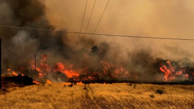 Заради пожарите: В Гърция глобяват за влизане в паркове и гори