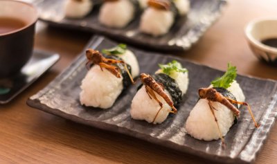 Bon Appétit: Токио „изкушава“ с ризото от щурци и десерт с гъсеници