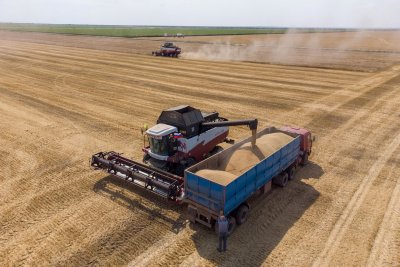 Световната продоволствена програма на ООН съобщи че Русия не е предложила безплатно зърно на организацията след