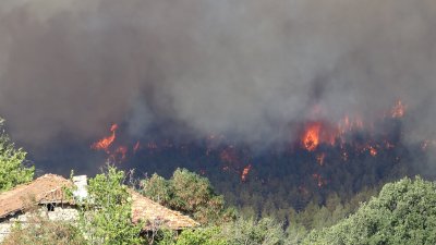 Пожар обхвана обработваеми земи както и треви и храсти край