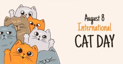 Днес е Международният ден на котката 