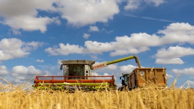 Индия купува 9 милиона тона руска пшеница