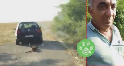 Шофьор върза и влачи с колата си куче в Силистренско