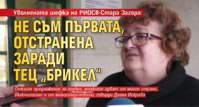Уволнената шефка на РИОСВ-Стара Загора: Не съм първата, отстранена заради ТЕЦ „Брикел“