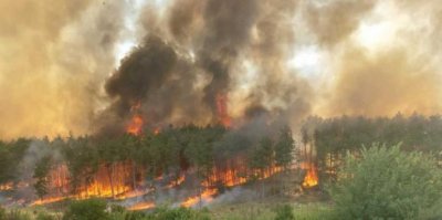 170 пожара са ликвидирани на територията на страната през последното