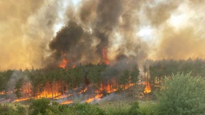 Потушен е пожарът, който горя на територията на военния полигон в старозагорското село Змейово