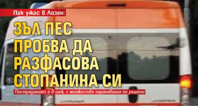 Пак ужас в Лозен: Зъл пес пробва да разфасова стопанина си