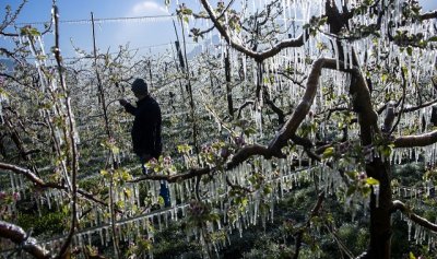 Щетите причинени от природни катастрофи в света са на стойност