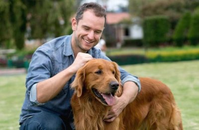 Учени от университета на Вирджиния САЩ са установили че галенето на кучета