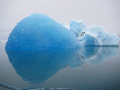 Влиянието на активното топене на ледниците върху рибните популации във