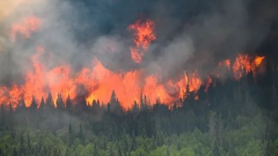 Канадските Северозападни територии обявиха извънредно положение поради горските пожари