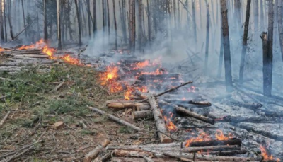Общо 174 пожара са ликвидирани в страната за последното денонощие