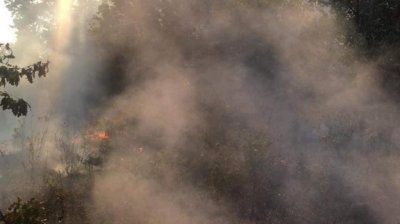 Пожар гори над Старозагорски минерални бани съобщава НОВА В гасенето