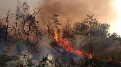 Продължава гасенето на горския пожар край село Любен пише bTV