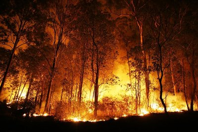 Климатичните промени увеличават честотата и мащаба на пожарите Продължителността на