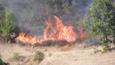 Овладяна е ситуацията с пожарите в Бургаска област Пет хиляди