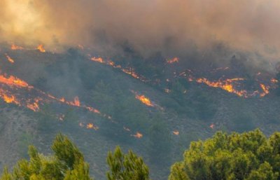 Нови пожари в Гърция в близост до България