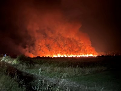 Огнеборци горски служители и доброволци потушават на ръка тлеещи огнища
