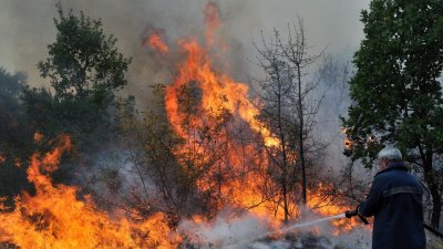 Паднала светкавица е причината за пожар в труднодостъпен горски масив