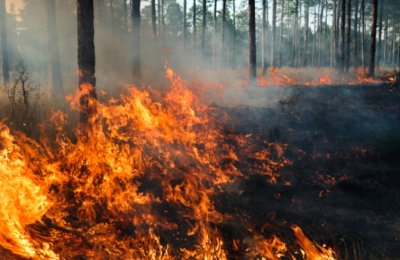 Огнен ад: 143 сигнала за пожар само за 24 часа