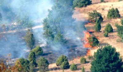 Пожарникарите са загасили 136 пожара в страната през изминалото денонощие