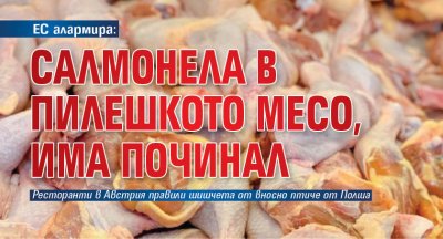 ЕС алармира: Салмонела в пилешкото месо, има починал 