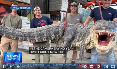 Ловци хванаха най дългия алигатор залавян някога в Мисисипи в реката