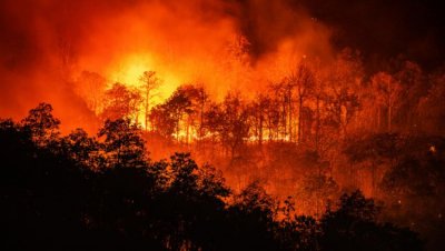 Заради огромния пожар бушуващ в района   община Чепеларе обяви частично