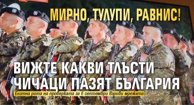 Мирно, тулупи, равнис! Вижте какви тлъсти чичаци пазят България