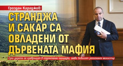 Гроздан Караджов: Странджа и Сакар са овладени от дървената мафия