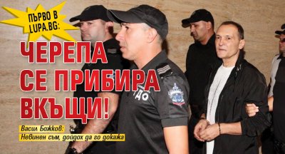 Първо в Lupa.bg: Черепа се прибира вкъщи!