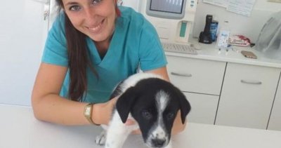 Броят на жертвите от катастрофалните наводнения в Царево вече са