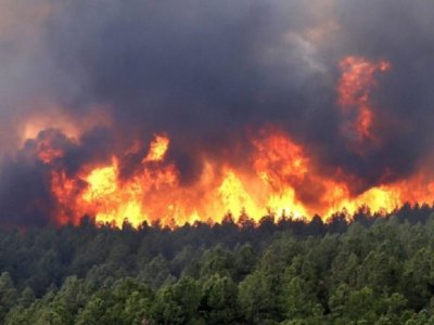 Голям горски пожар  в района на Кариерата при старозагорското село Змейово По информация