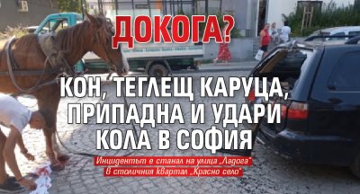 Инцидент между каруца и автомобил е станал вчера в София