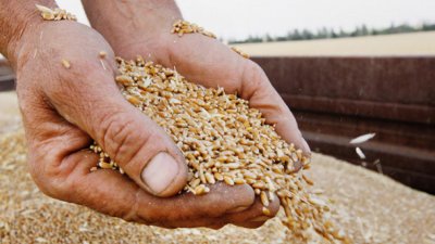 Полша удължава едностранно забраната за внос на украинско зърно