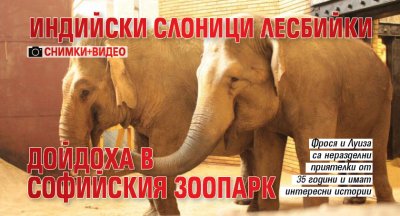 Индийски слоници лесбийки дойдоха в софийския зоопарк (СНИМКИ+ВИДЕО)