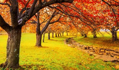 Радост за душата: Синоптиците вещаят топла есен