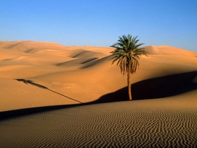 Само преди няколко хиляди години днешната пустиня Сахара не е