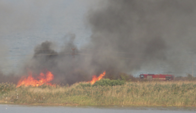 Голям пожар гори край Атанасовското езеро в Бургас Сигнал за