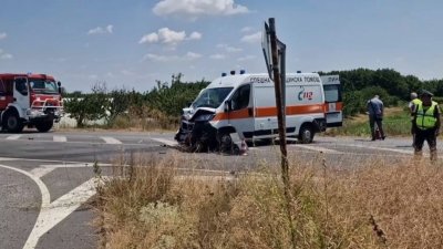 Кон предизвика катастрофа на пътя между Кюстендил и София Инцидентът