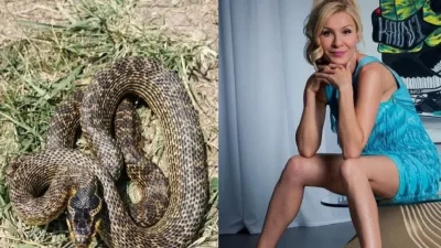 По време на слънчев следобед на Гала се случи необичайна